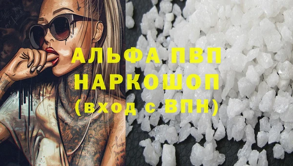 гидра Новокубанск