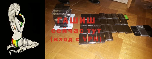 первитин Новодвинск