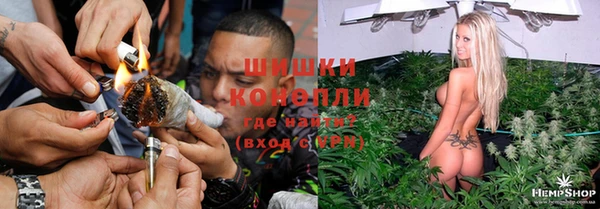 первитин Новодвинск