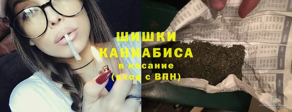 гидра Новокубанск