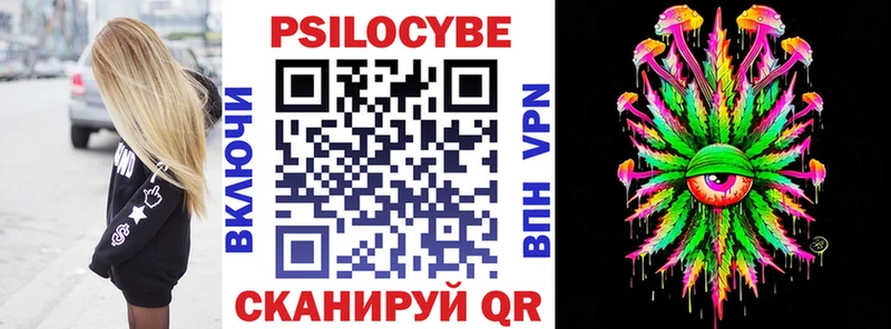 Галлюциногенные грибы Psilocybe  Анжеро-Судженск 