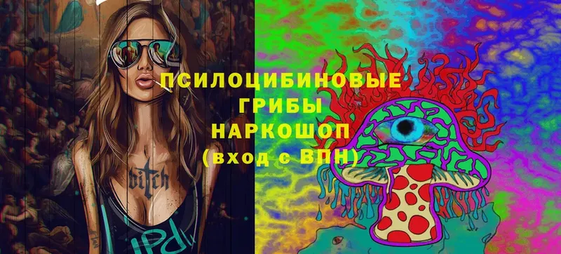 закладки  Анжеро-Судженск  Галлюциногенные грибы Magic Shrooms 