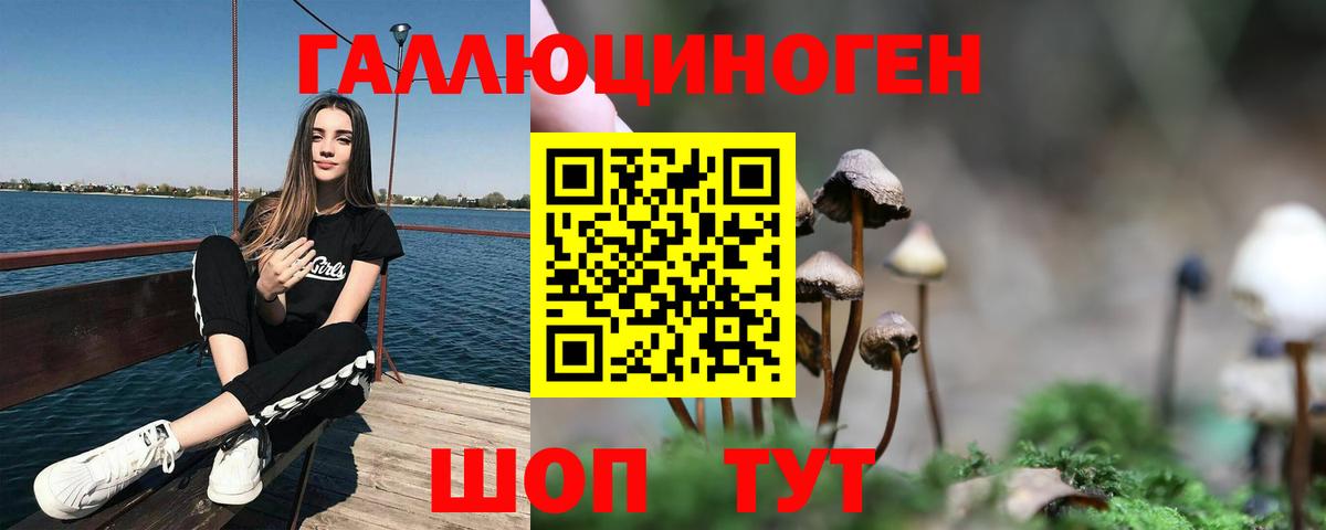 Псилоцибиновые грибы прущие грибы Анжеро-Судженск